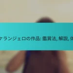 ミケランジェロの作品: 鑑賞法, 解説, 体験